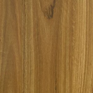 Bushland Spotted Gum