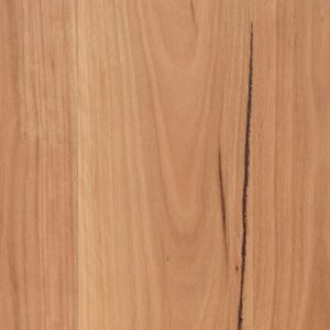 Coastal Blackbutt