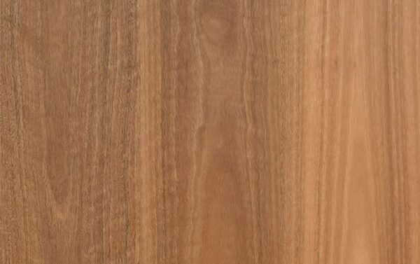 Spotted Gum