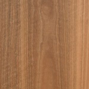 Spotted Gum