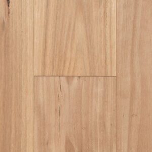 Blackbutt