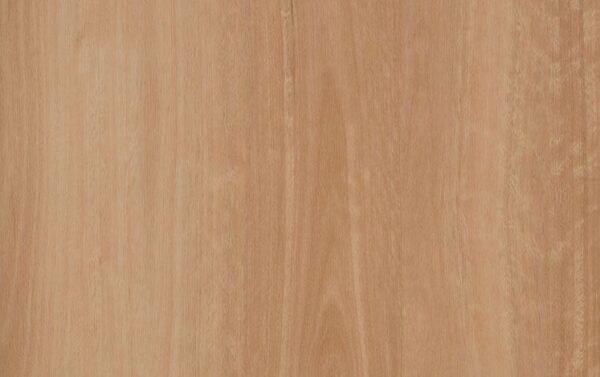 Harvest Blackbutt