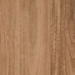 Saddleback Spotted Gum